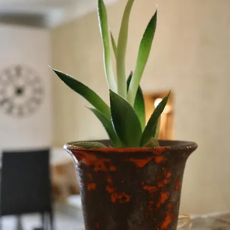 Centre-les Terrasses De Sigalon, Maison De Climatisee 3 * Uzès